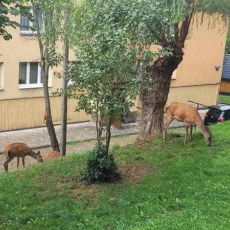 Apartamento Na Poziomie